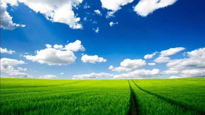 cloudflare的1.1.1.1和warp有什么区别？